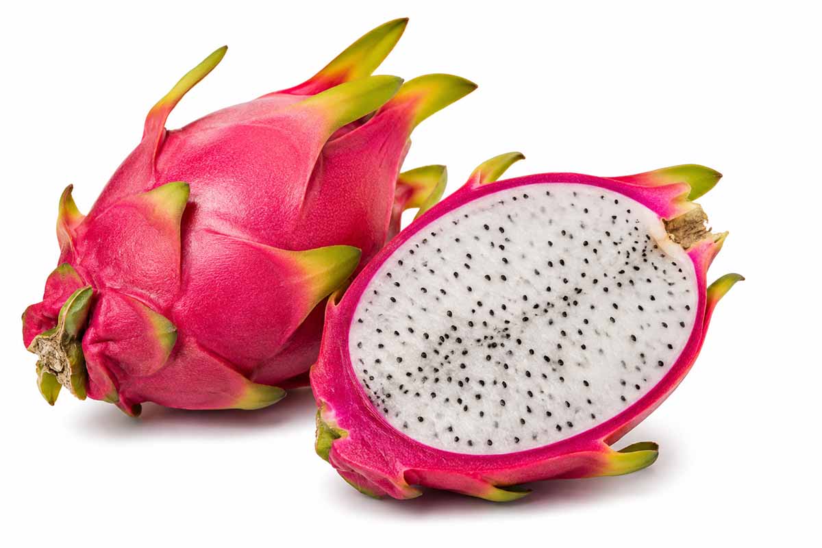 Dragon Fruit